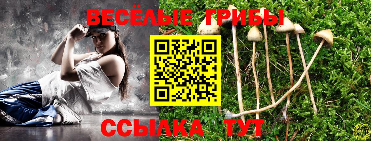 Псилоцибиновые грибы Psilocybine cubensis  Вход с VPN  купить наркотик  Буйнакск 
